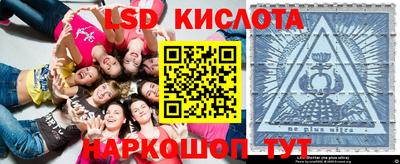 стаф Брянск