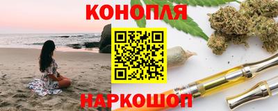стаф Брянск